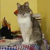 Отзыв от Алла Сидорова